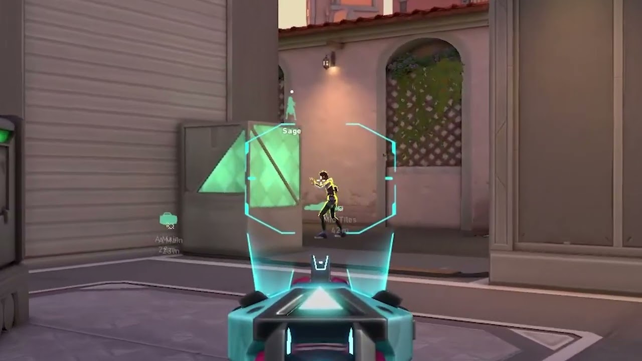 ALTINDAN OK ATTIM / MAYMUNLARLA VALORANT