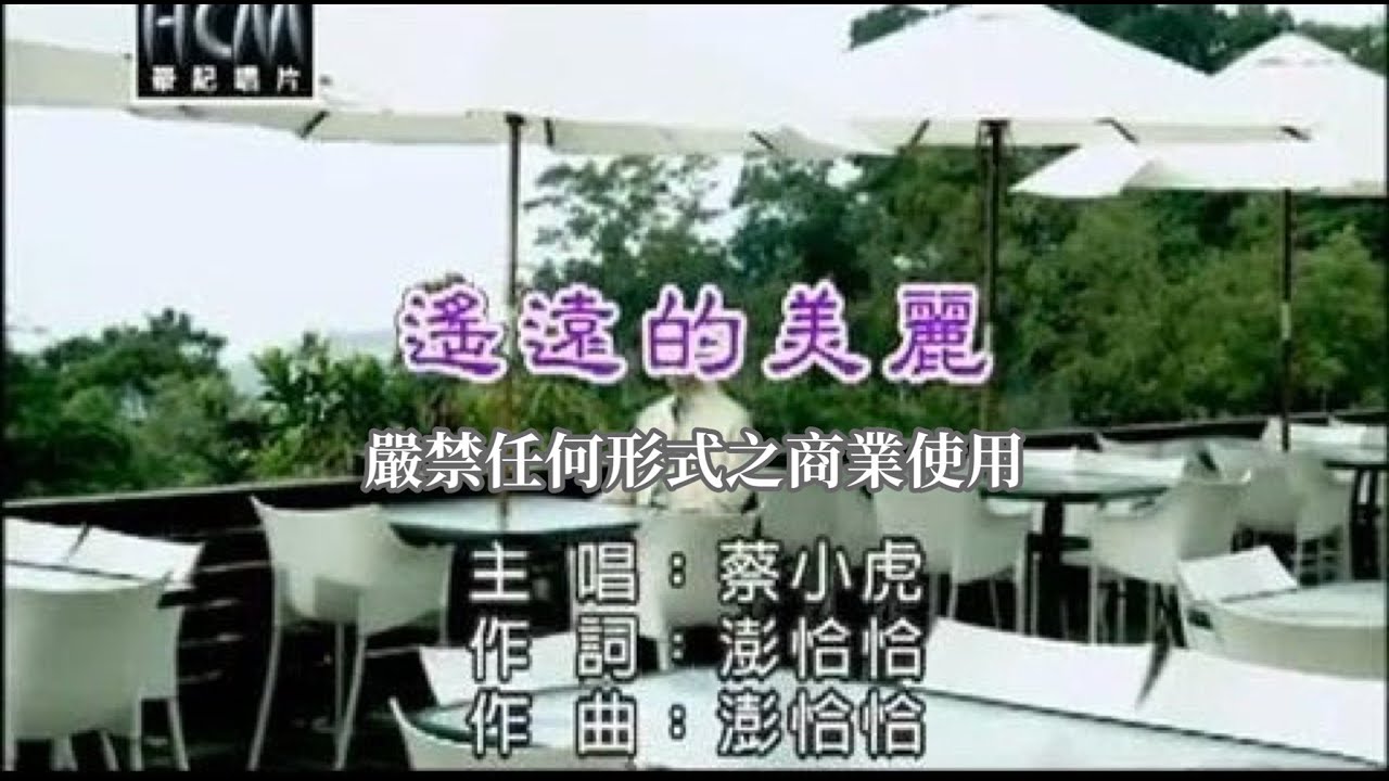 蔡小虎-遙遠的美麗(官方KTV版)