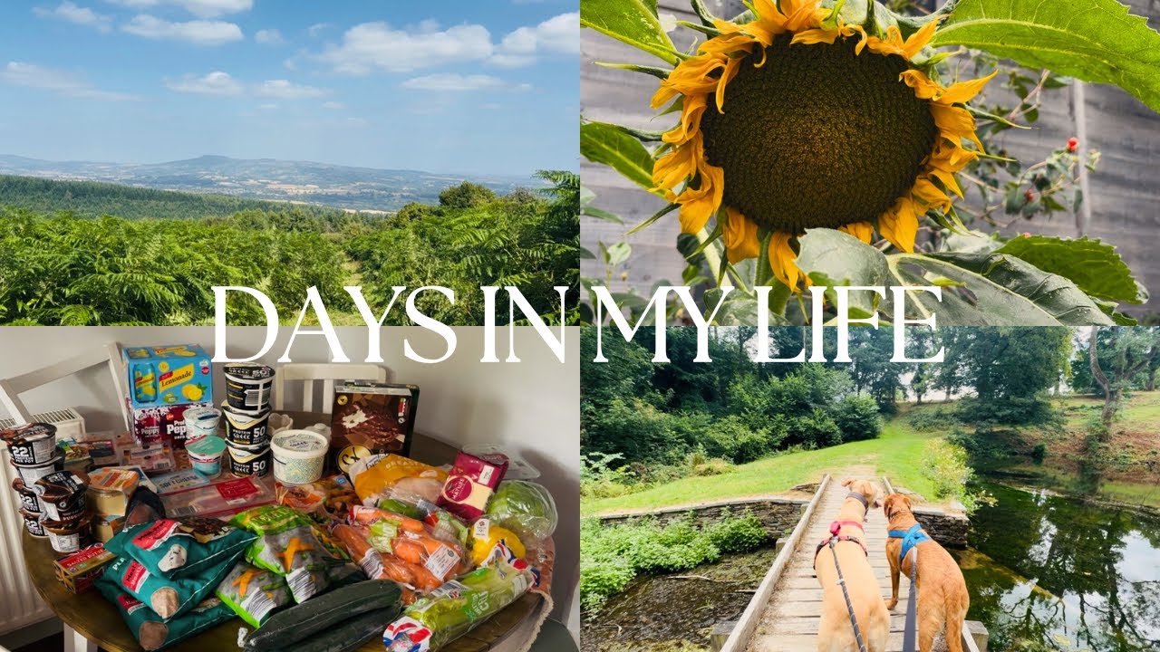 DAYS IN MY LIFE | hard trail run, food haul, national trust walk