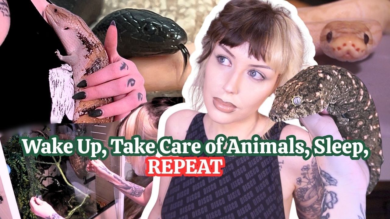 My Daily Routine Living With Over 25 Animals