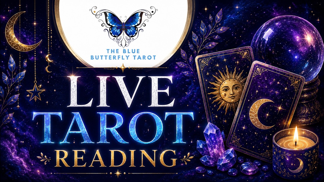 LIVE TAROT READING 💕🦋 2/3/26 - Love, Relationships, No Contact, Separation