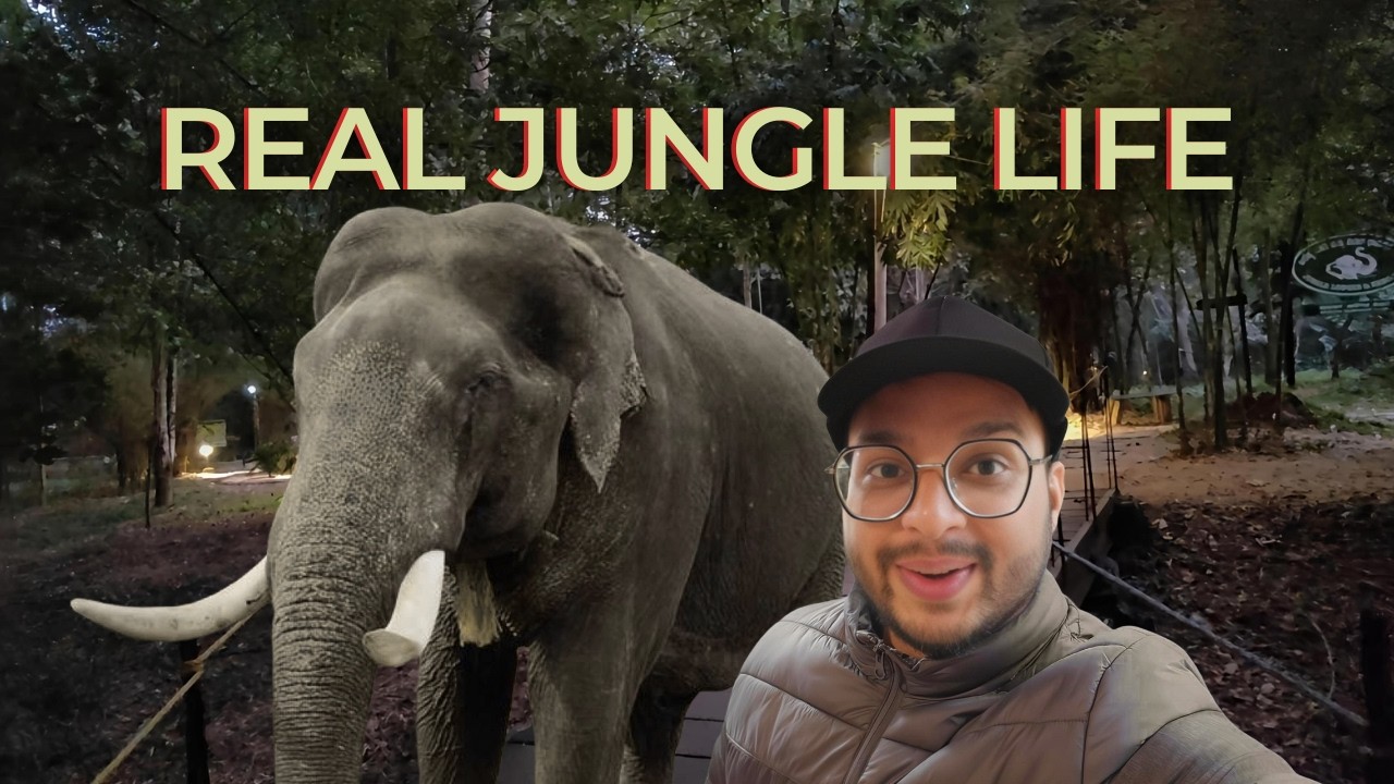 This Elephant Camp Night Was Absolutely Insane