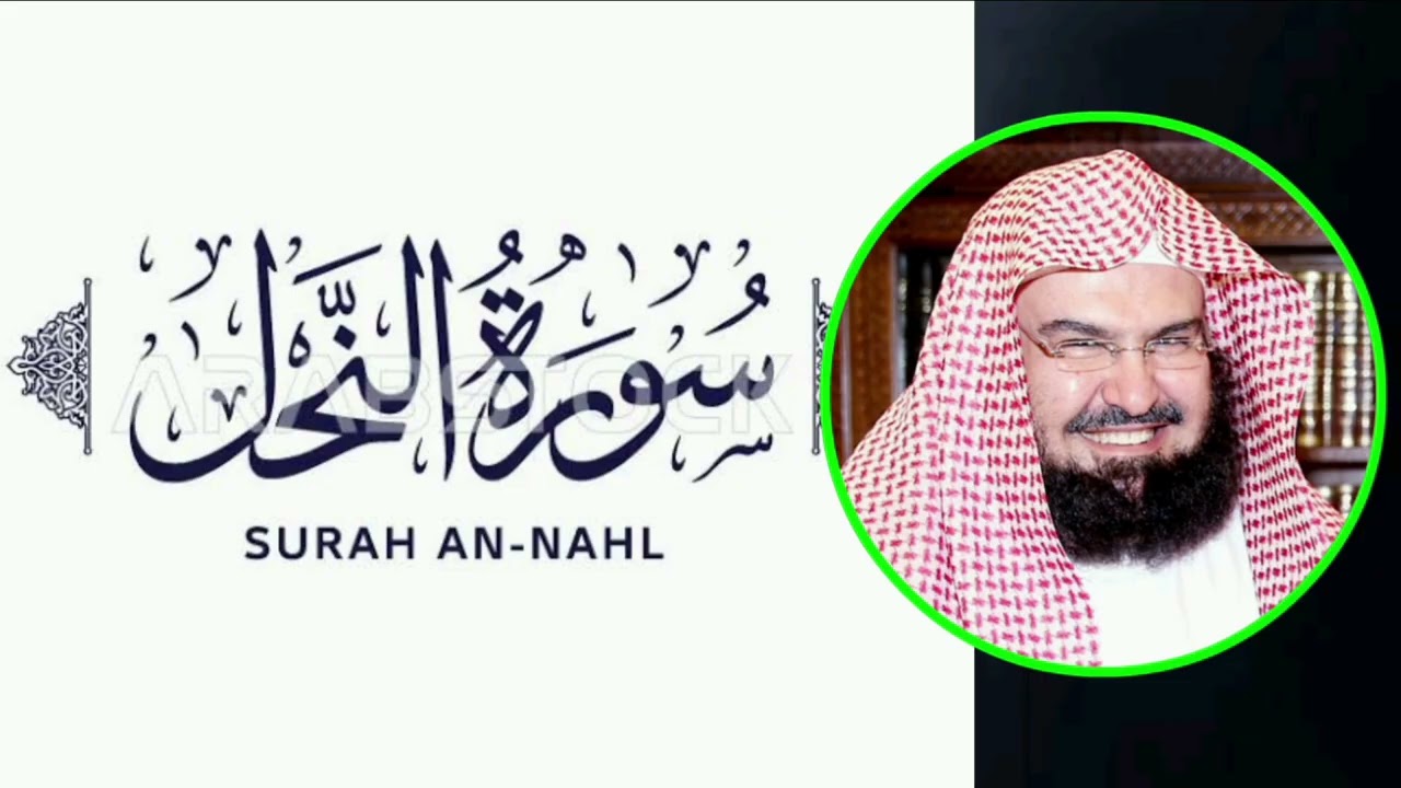 5 مارس 2026