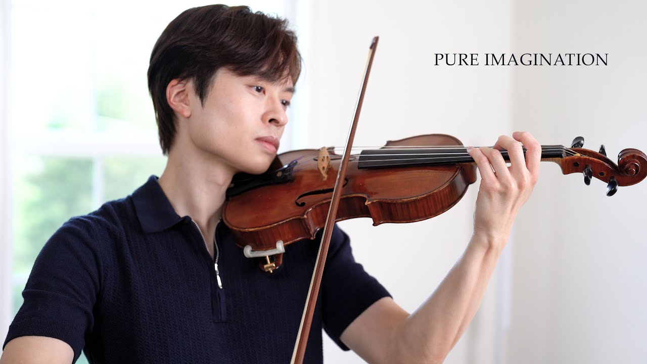 Pure Imagination - violin cover