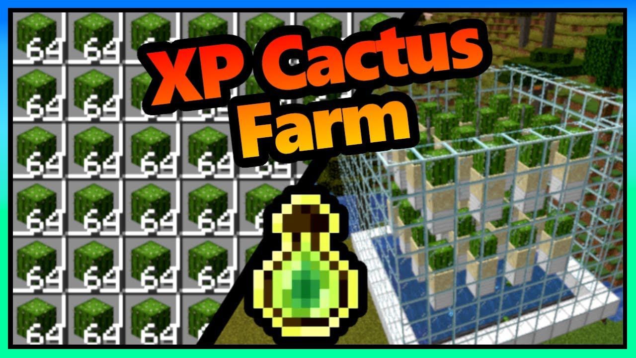 Cactus XP Farm Minecraft | Super Easy | 1.20 - 1.21+