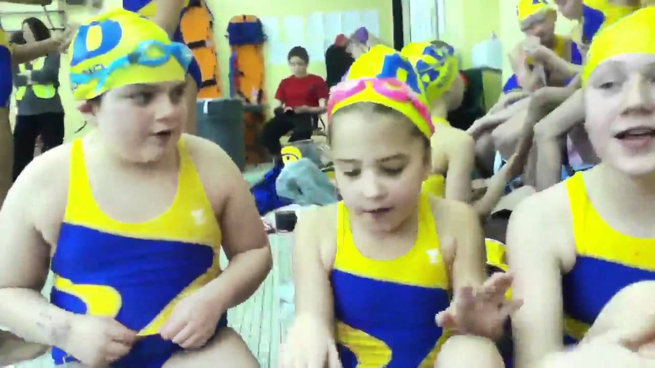 I'm a dolphin and I know it