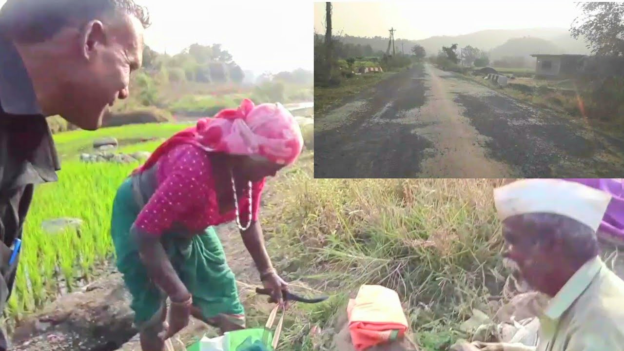 आदिवासी Village Life,धनराट गांव farming River bank in Work, नवापुर तालुका, नंदुरबार जिला महाराष्ट्र,