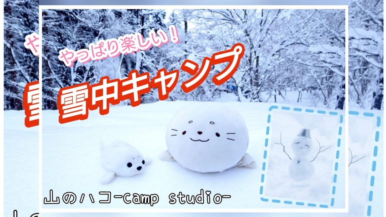 真っ白な世界‼️更に積もっていく雪景色の絶景✨何度行っても楽しいキャンプ場🏕