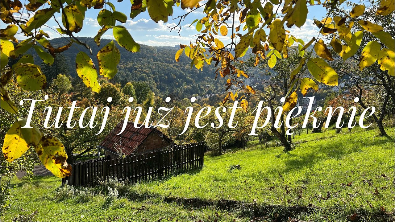 Powrót do siedliska: co z remontem starego domu i czas na refleksję