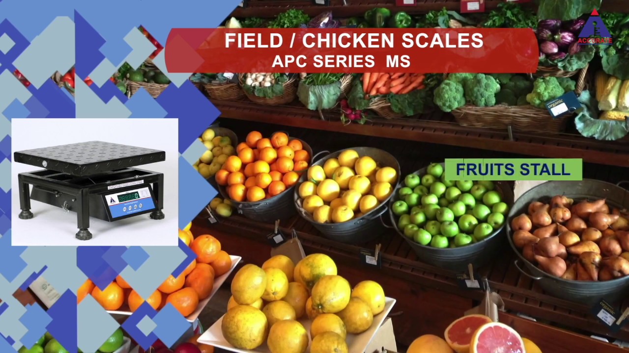 No-1 Chicken Weighing Scales|Field Scales| 50 Kg -100 Kg | Accurate Electronics