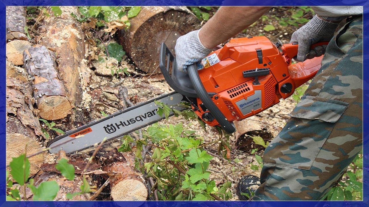 HUSQVARNA 365 vs STIHL ms 361. Вечный спор что ЛУЧШЕ?