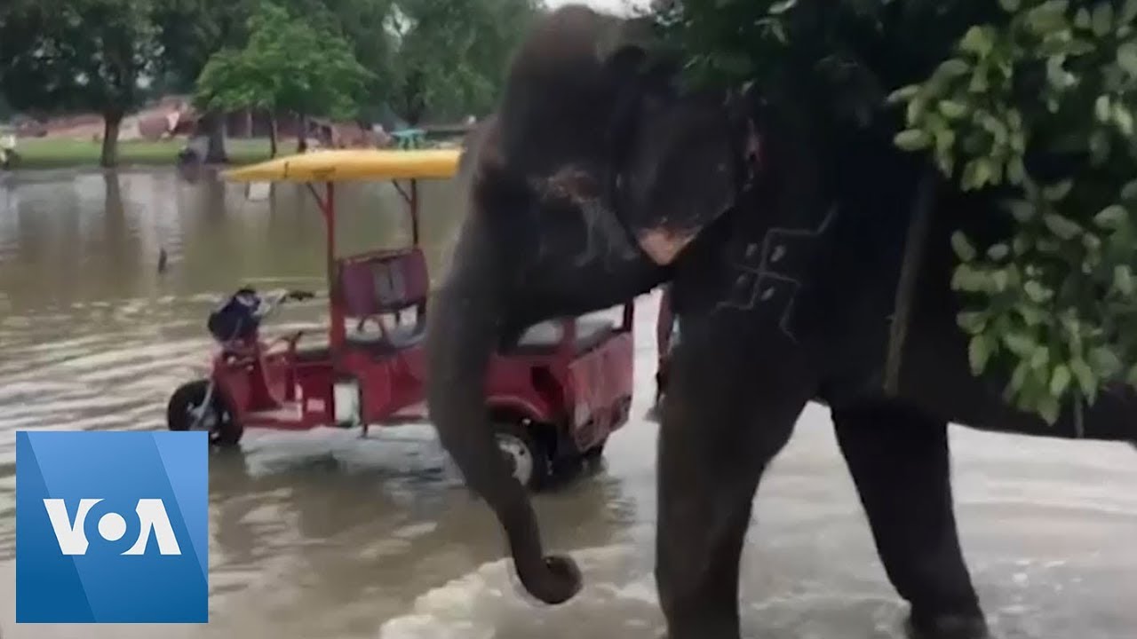 Heavy Monsoon Rains Flood Northern India
