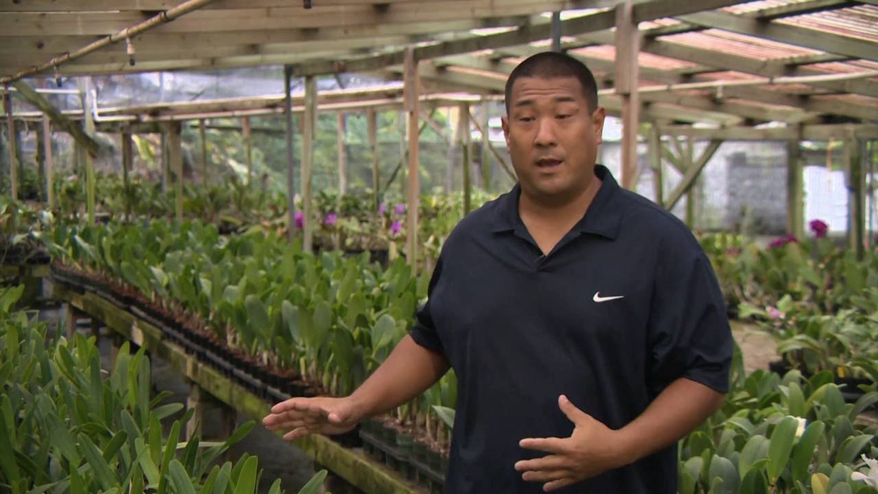 Kawamoto Orchid Nursery- PBS