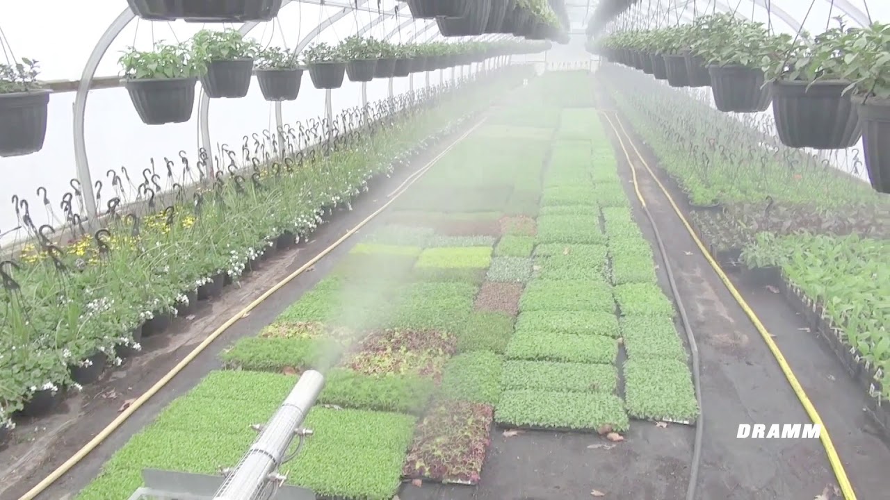 PulsFOG K 22 BIO Running in Greenhouse