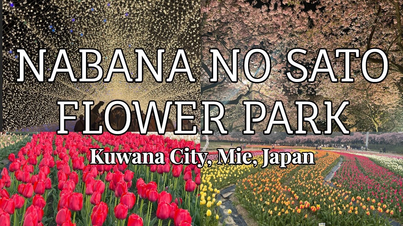 NABANA NO SATO FLOWER PARK #nabananosato #mie #kuwana #nagoya #TaraAnythingGoes