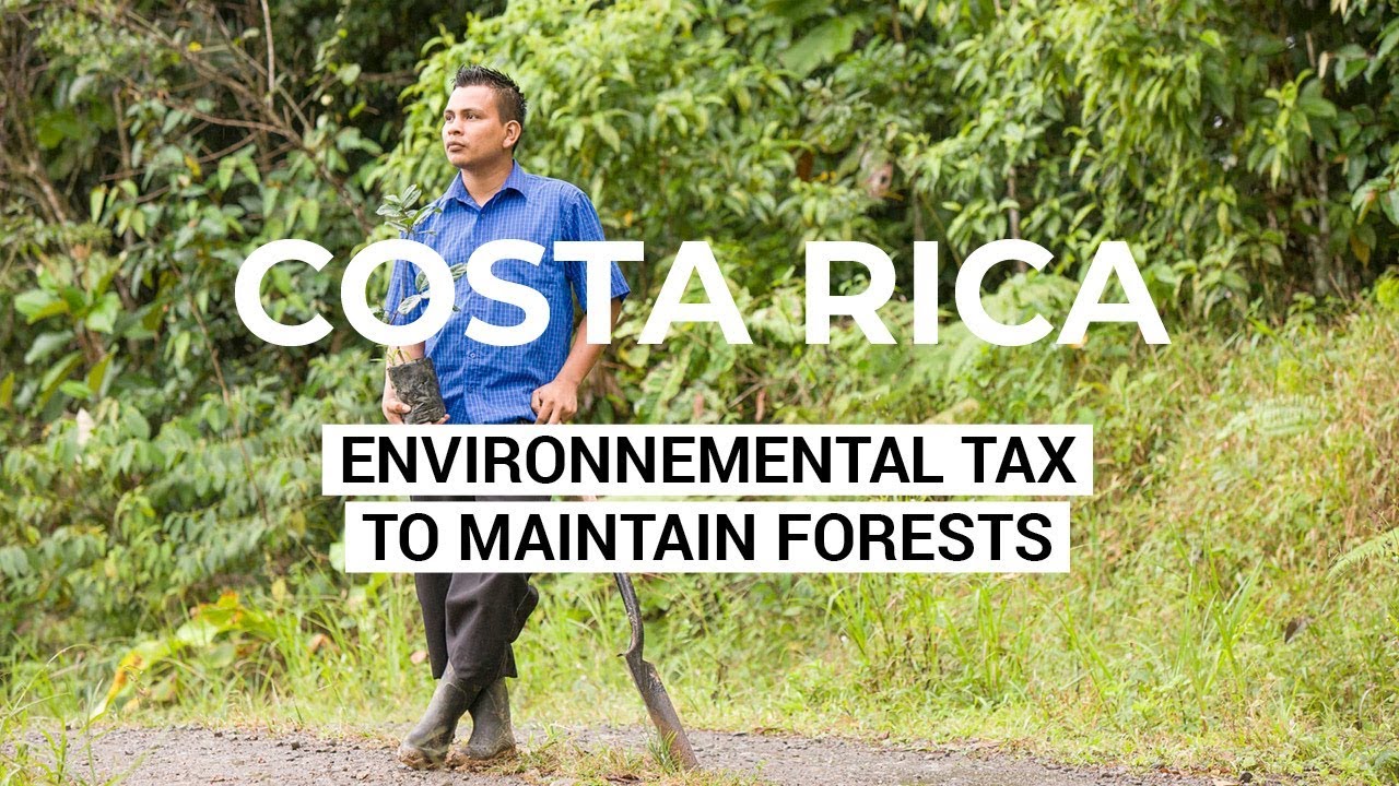 A Sustainable Solution - Environmental Tax to Maintain Forests in Costa Rica - Costa Rica