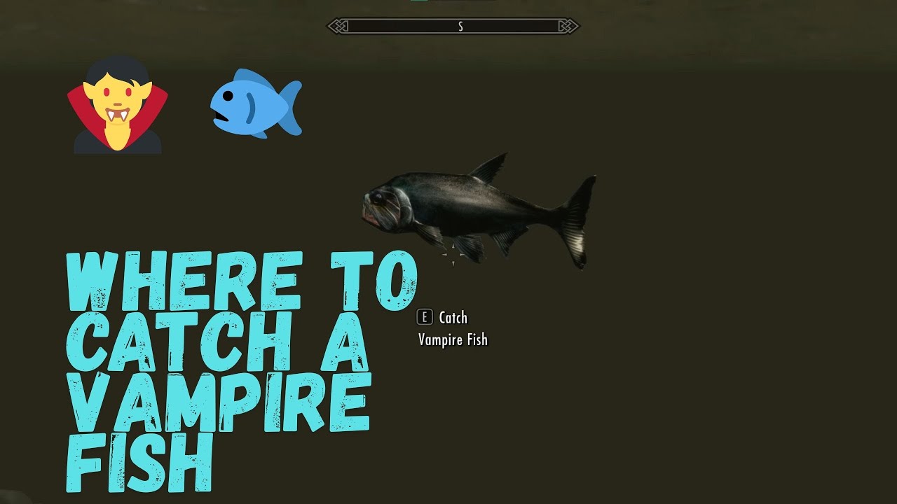💀Elder Scrolls V: Skyrim💀Vampire Fish Location 🐟