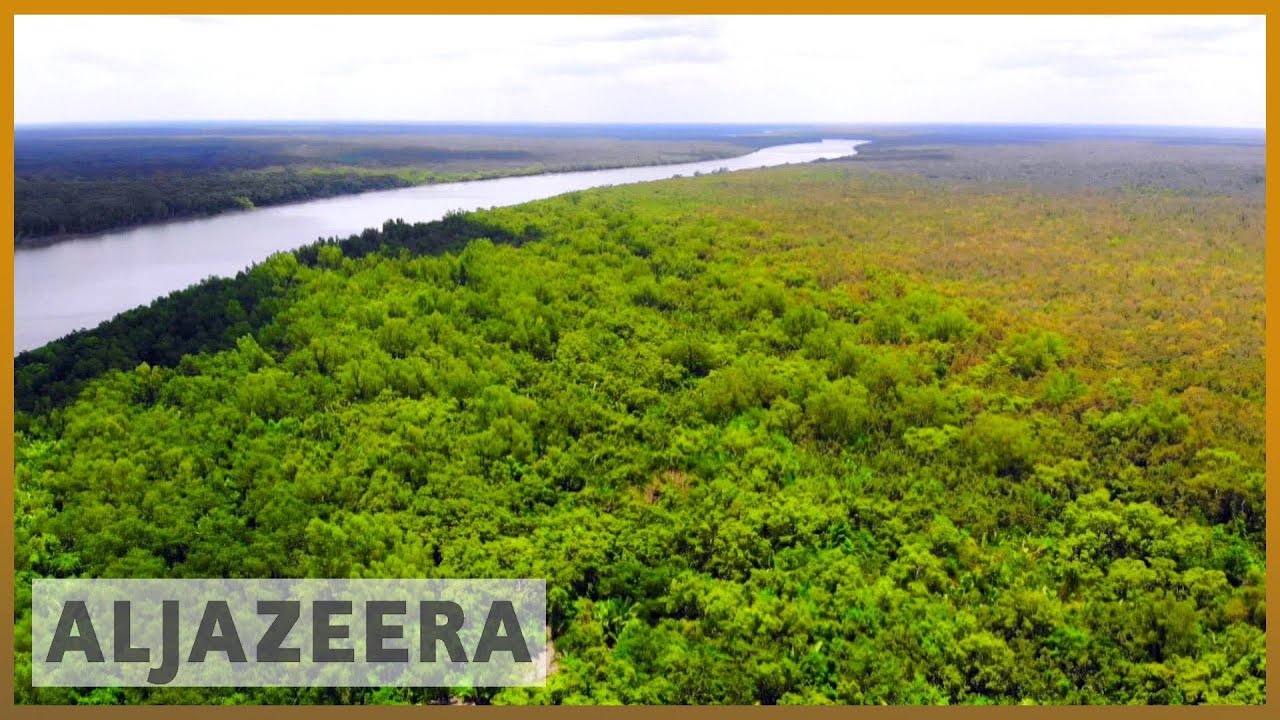 UNESCO labels Sundarbans of Bangladesh &lsquo;World Heritage in Danger&rsquo;