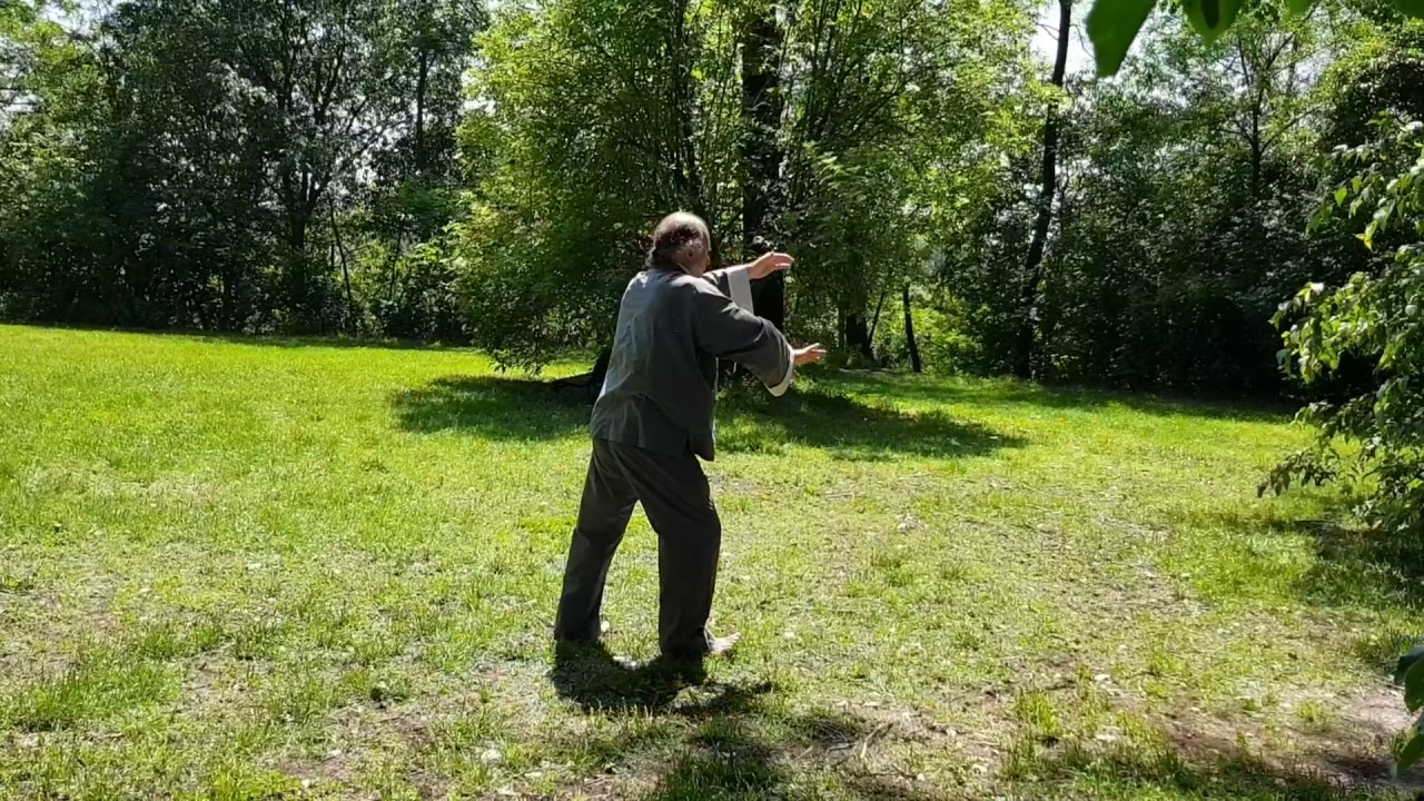 Original Yang Style Form - First part M° Lopez
