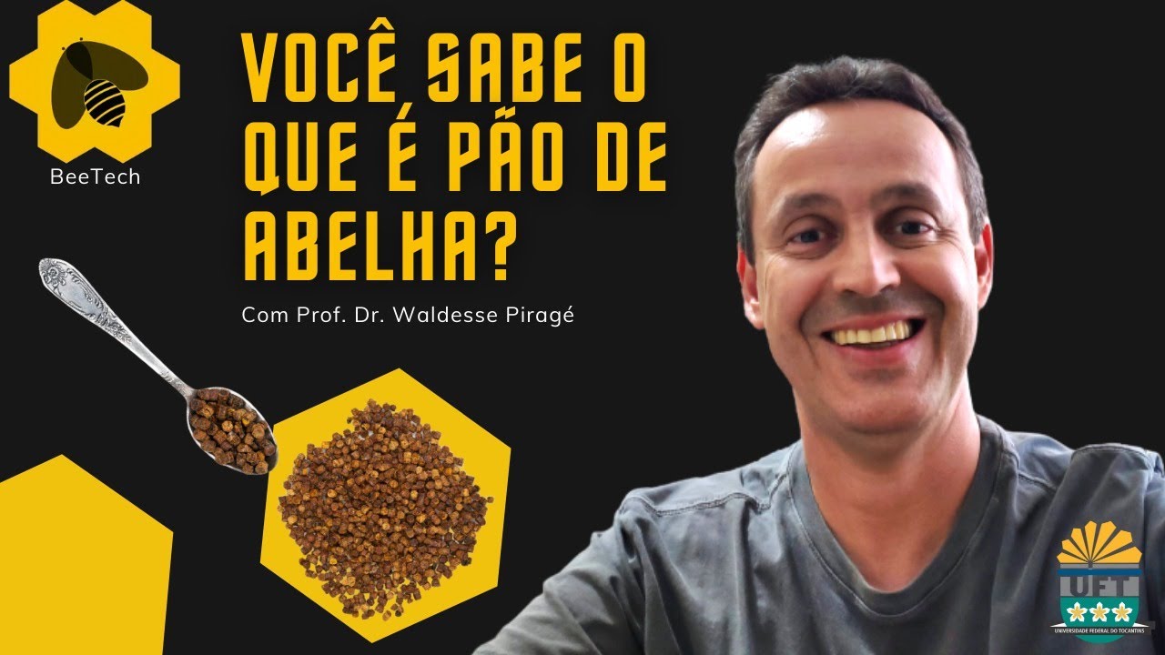 Samburá ou samora?