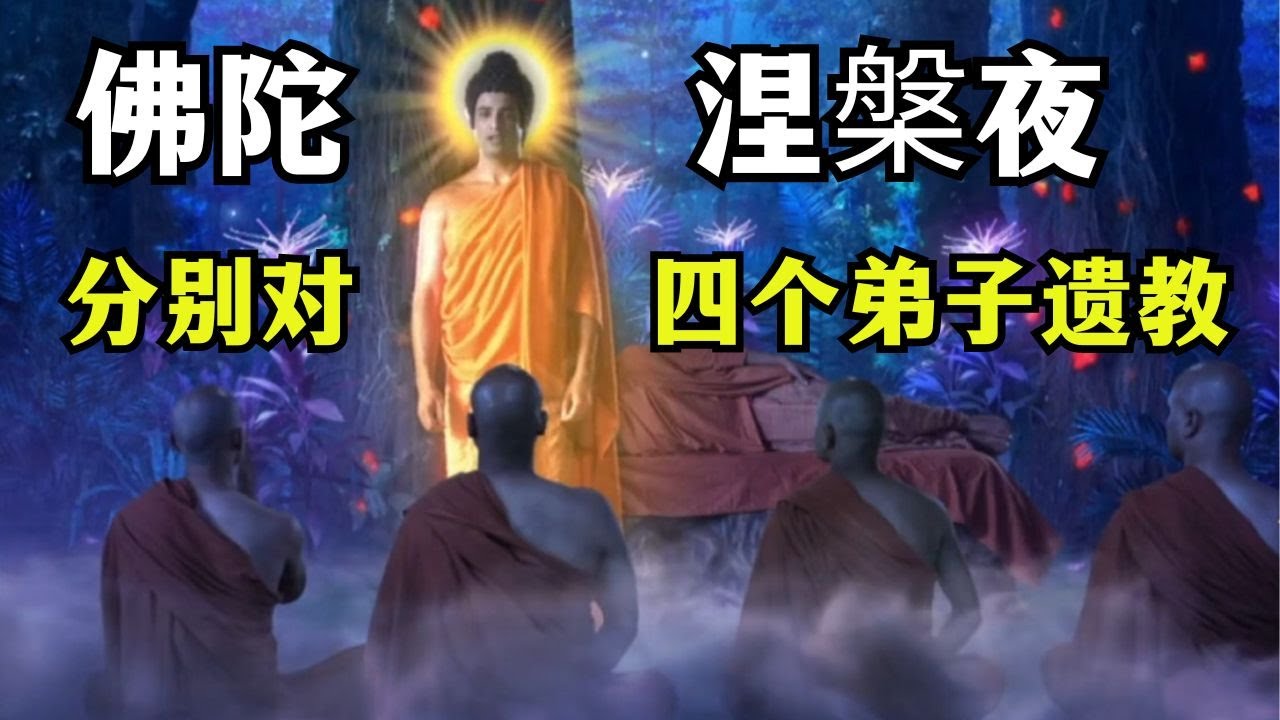 佛陀涅槃前让阿难去叫当地国王，拖着沉痛的色身，以法身为弟子最后遗教！ #佛教 #禪修 #佛法 #修行 #内觀 #心靈成長 #靜心  #冥想 #佛陀 #南傳#藏传