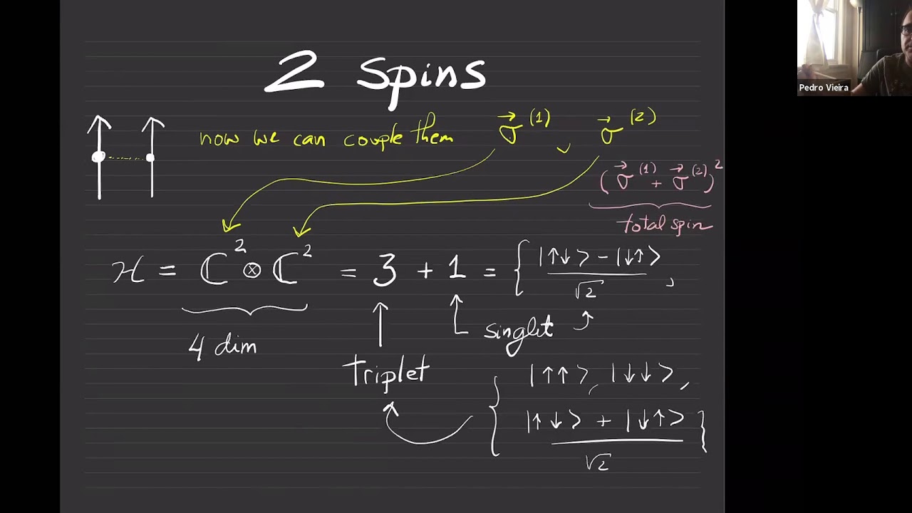 Spin Chains