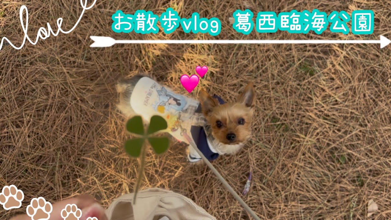 【お散歩】探索at葛西臨海公園🎡