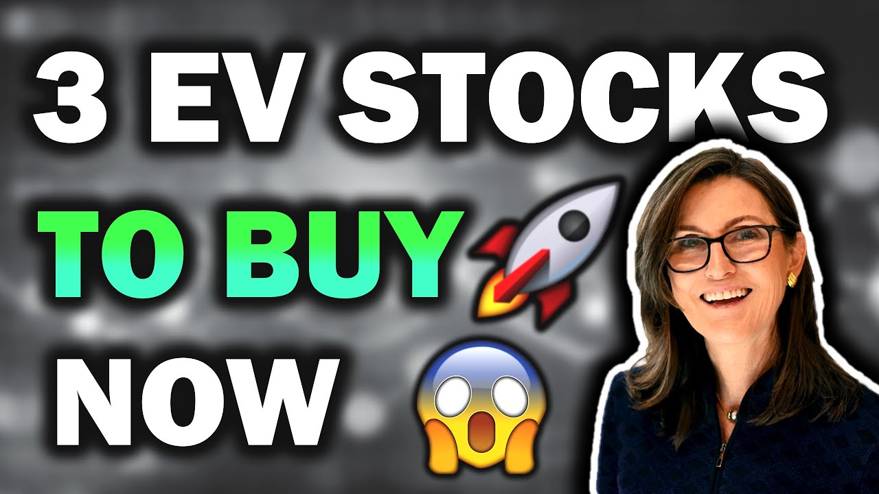 TOP 3 EV STOCKS TO BUY NOW! (During the EV Crash)