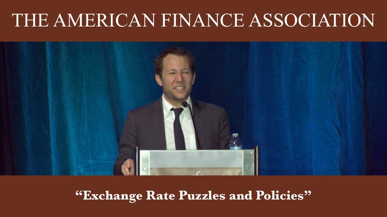 Exchange Rate Puzzles and Policies