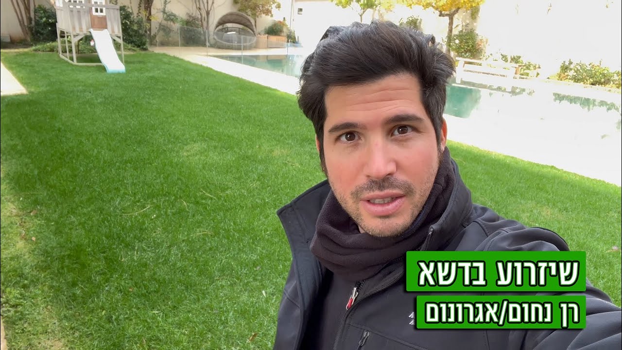 שזרוע דשא חורפי - דשא ירוק בחורף