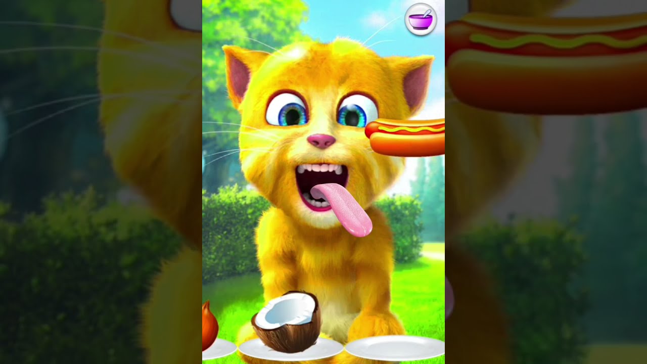 talking ginger funny videos ||😂😂😂