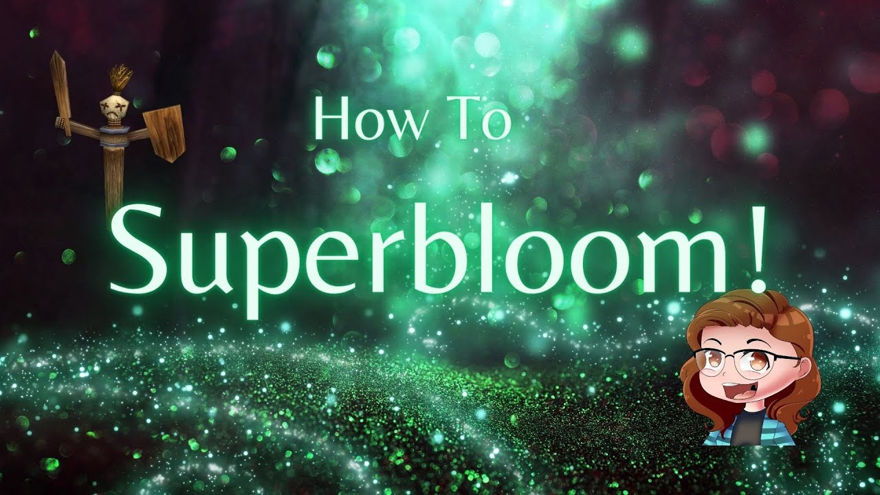 What to do in a Superbloom!