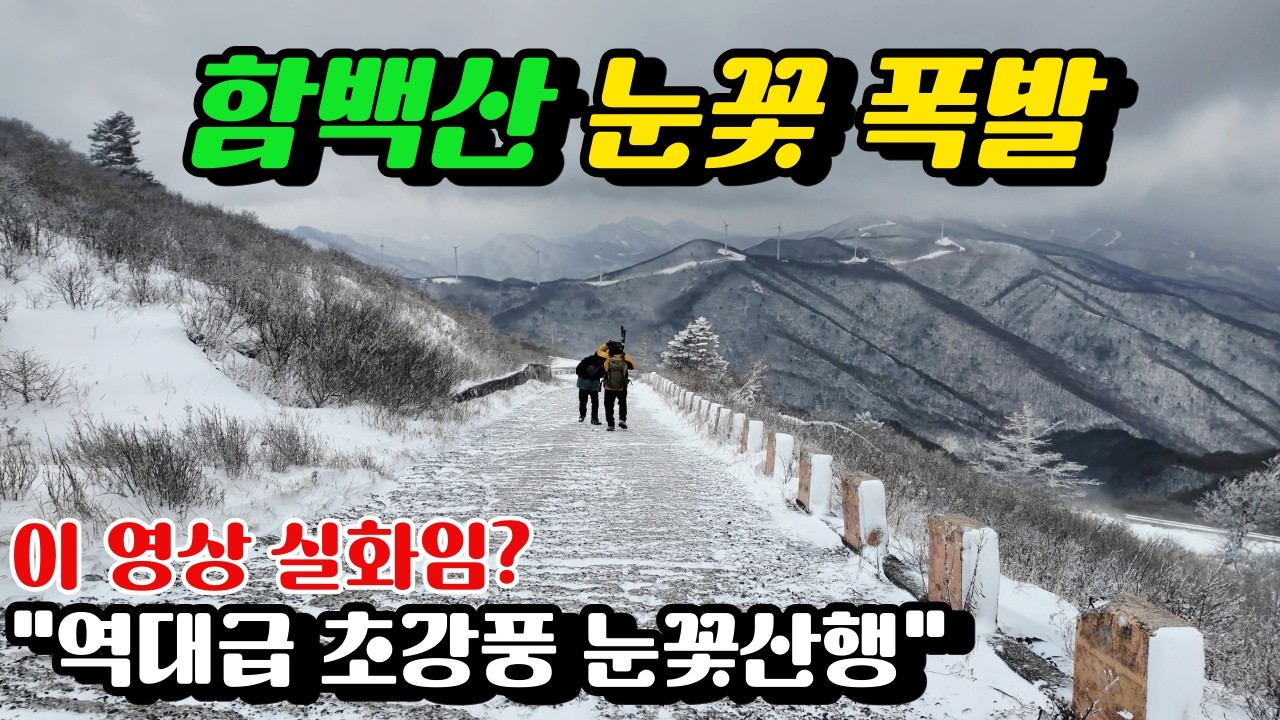 눈폭풍 뚫고 함백산! 역대급 초강풍 눈꽃산행, 시베리아 극한체험 #함백산 #눈꽃폭발 #태백산국립공원 (4K)