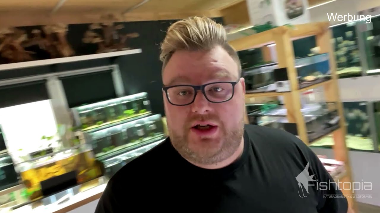 Fishtopia Weekly 3 - neues aus dem Laden