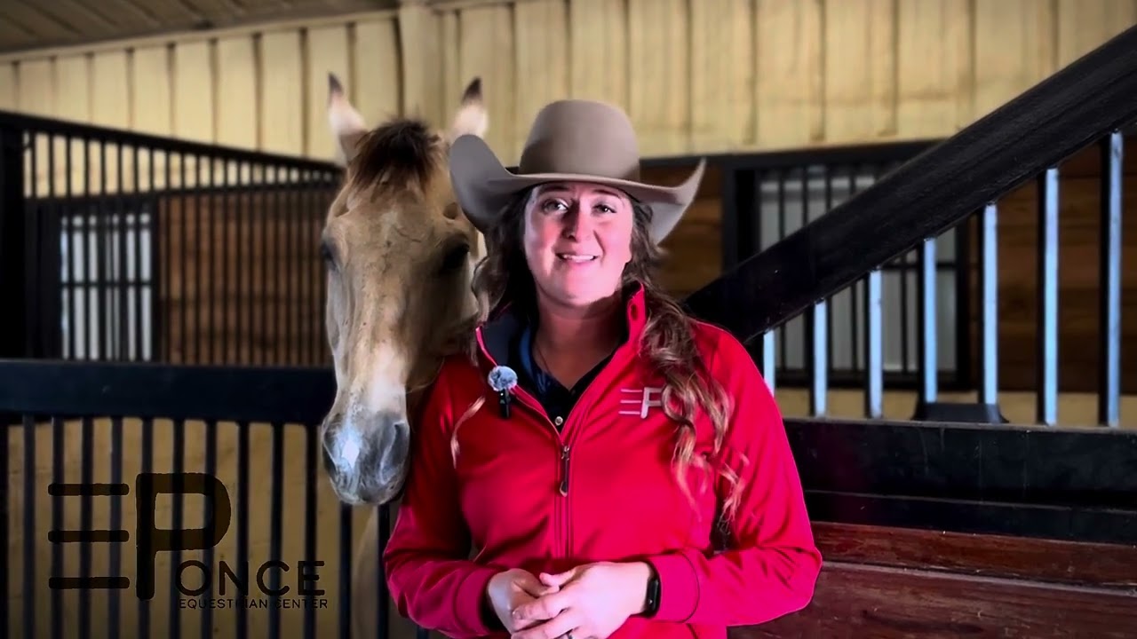 Welcome to Ponce Equestrian Center
