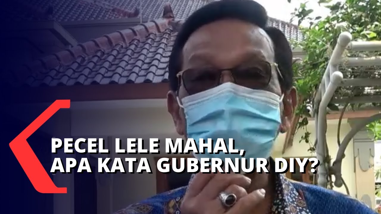 Viral Pecel Lele Mahal, Sultan: Ambil Untung Secukupnya