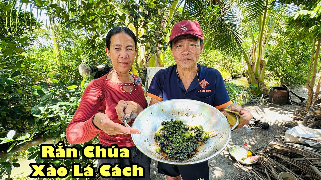 Tới công chuyện quy làm rắn xào lá cách không đánh vẩy không làm bụng để nguyên xi anh ăn khen ngon