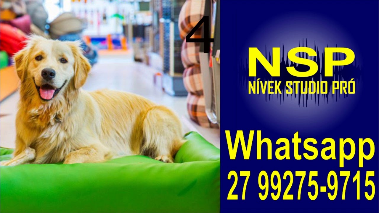 Jingles adaptáveis para PET SHOP