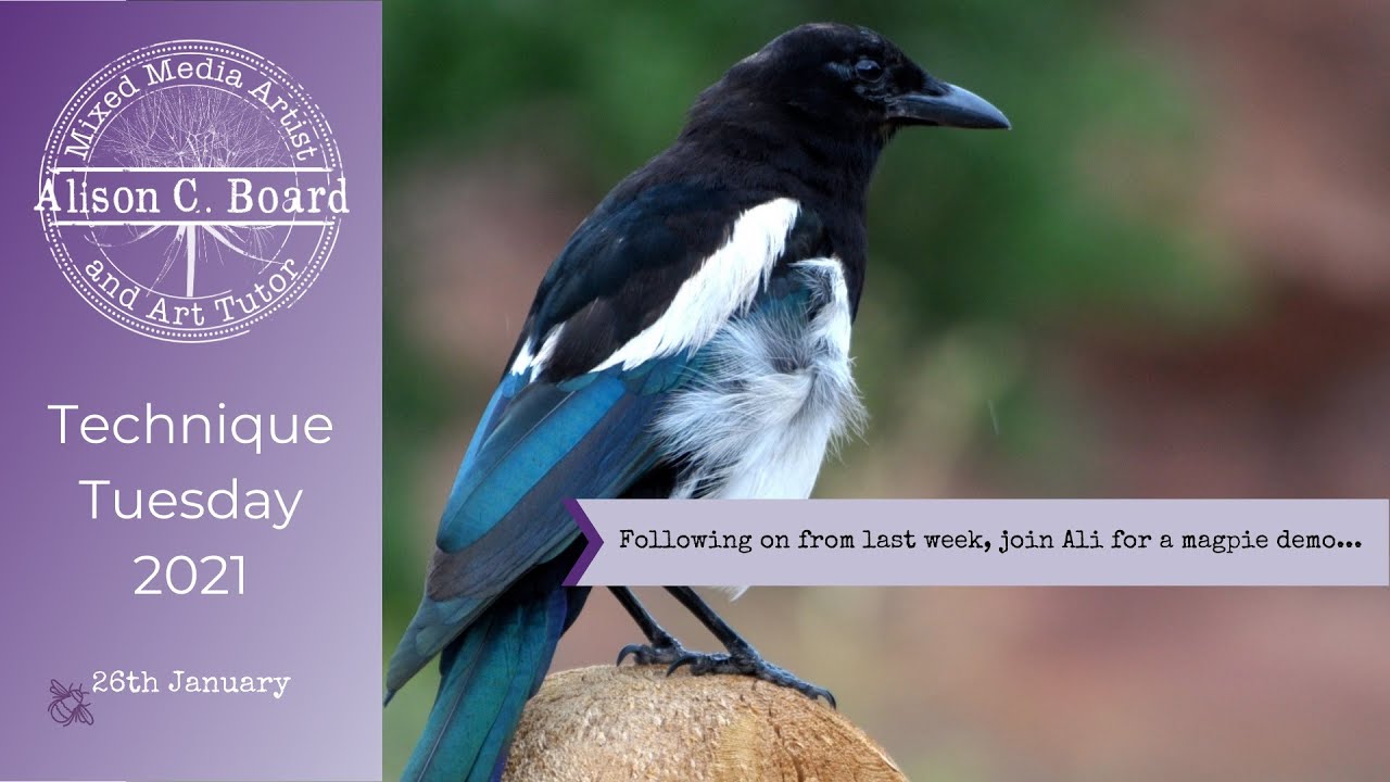 Technique Tuesday: 26th January 2021 - Magpie