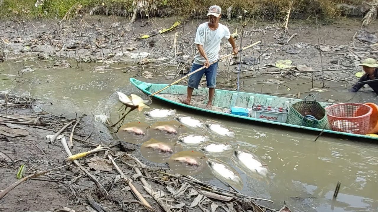 LIVE | trực tiếp kích cá miền tây phần 2