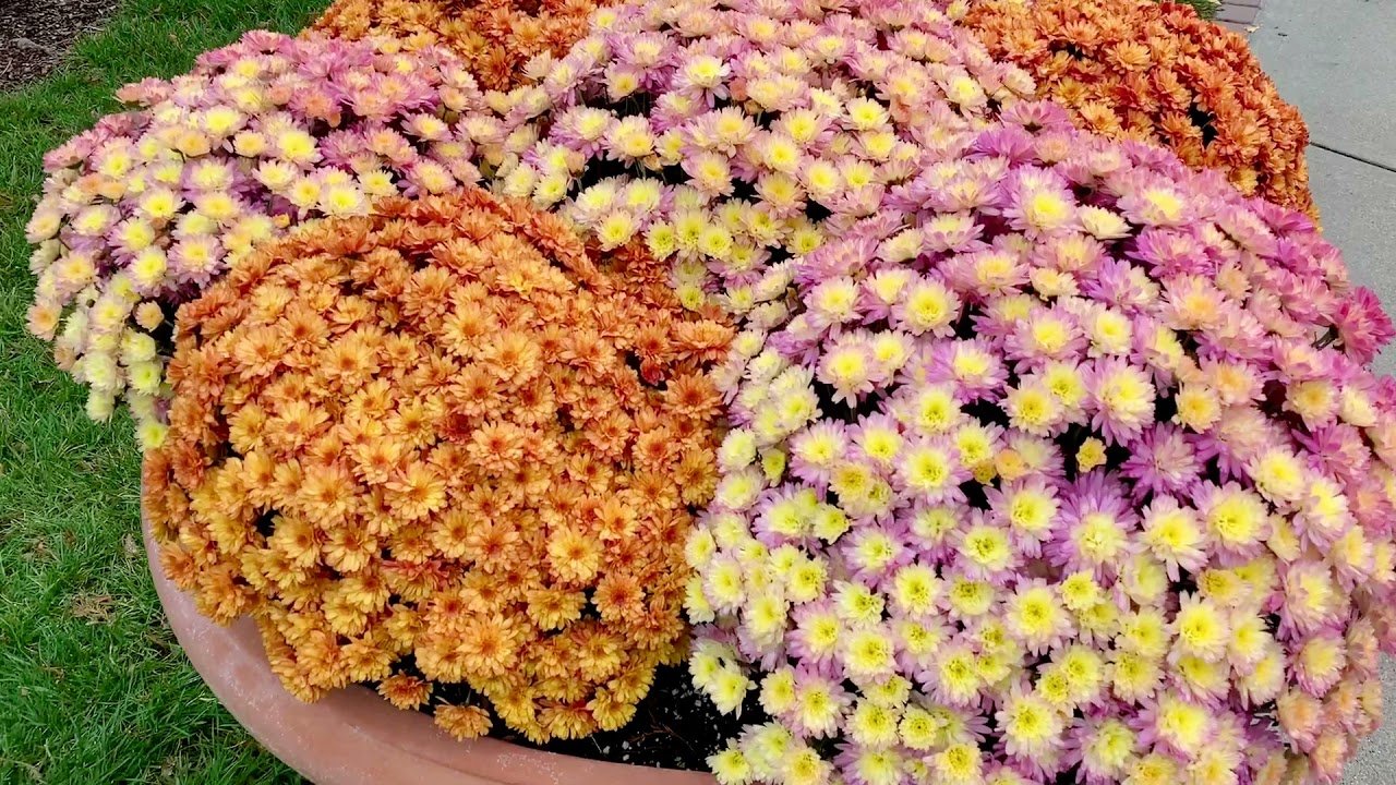Fall at Omaha's Lauritzen Gardens