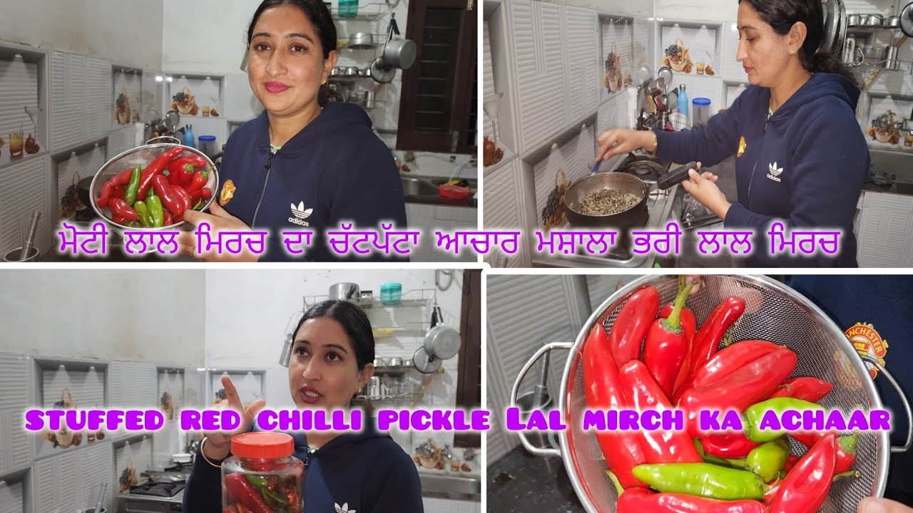 ਮੋਟੀ ਲਾਲ ਮਿਰਚ ਦਾ ਚੱਟਪੱਟਾ ਆਚਾਰ 🌶🌶stuffed red chilli pickle 🌶🌶lal mirch ka achaar @GagiParamvlogs