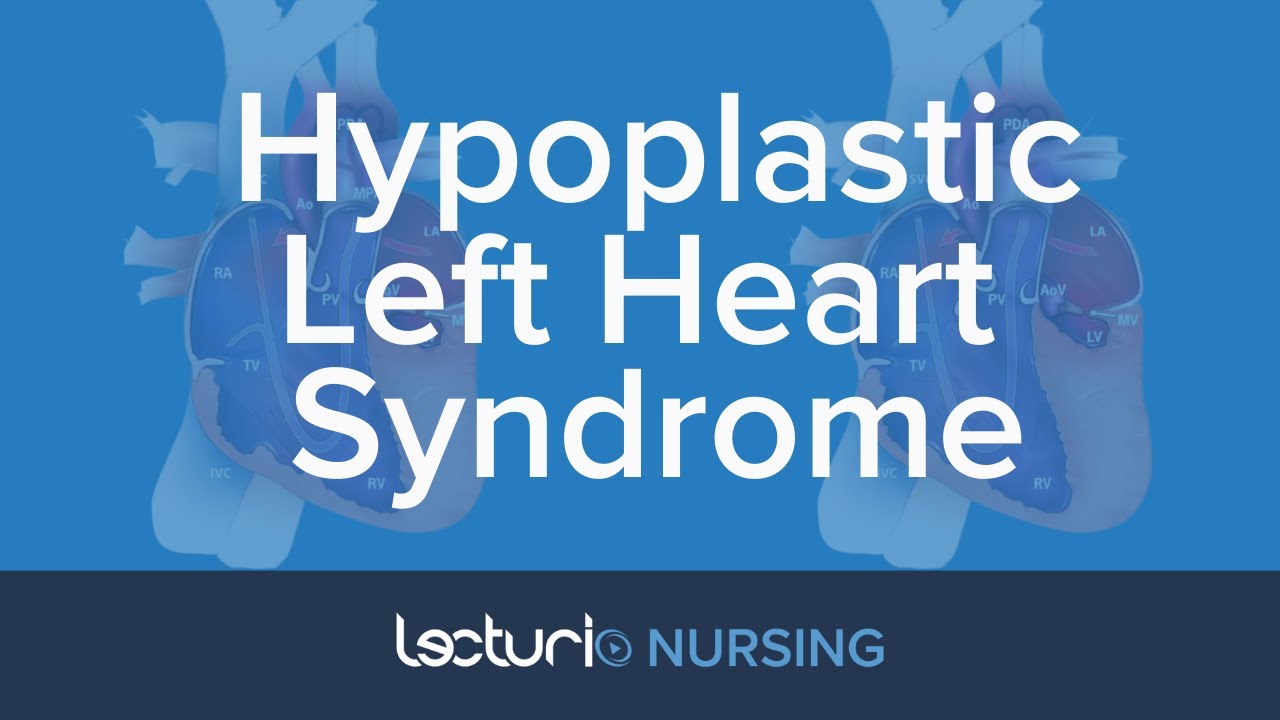 Hypoplastic Left Heart Syndrome (HLHS) | Pediatric Nursing