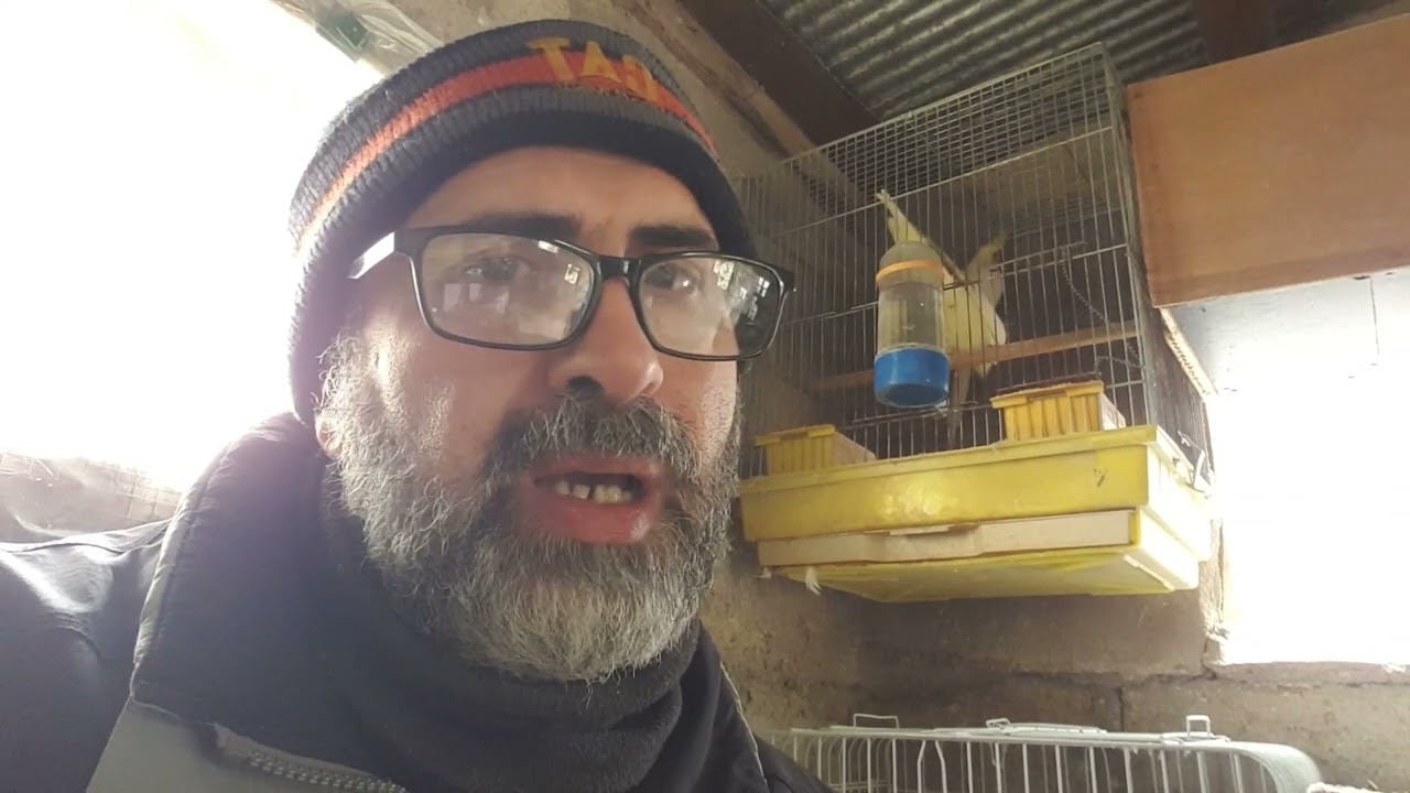 هل تقديم الثوم والليمون للطيور يعالج الامراض؟