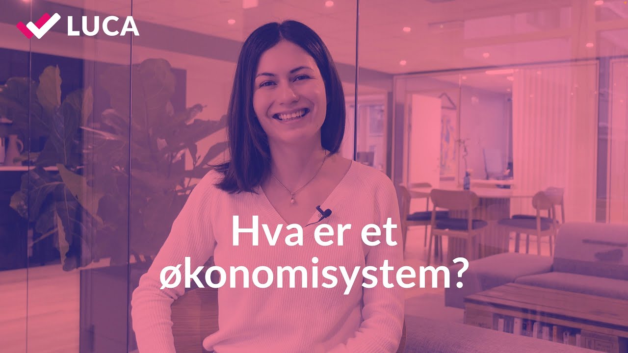Hva er et økonomisystem?