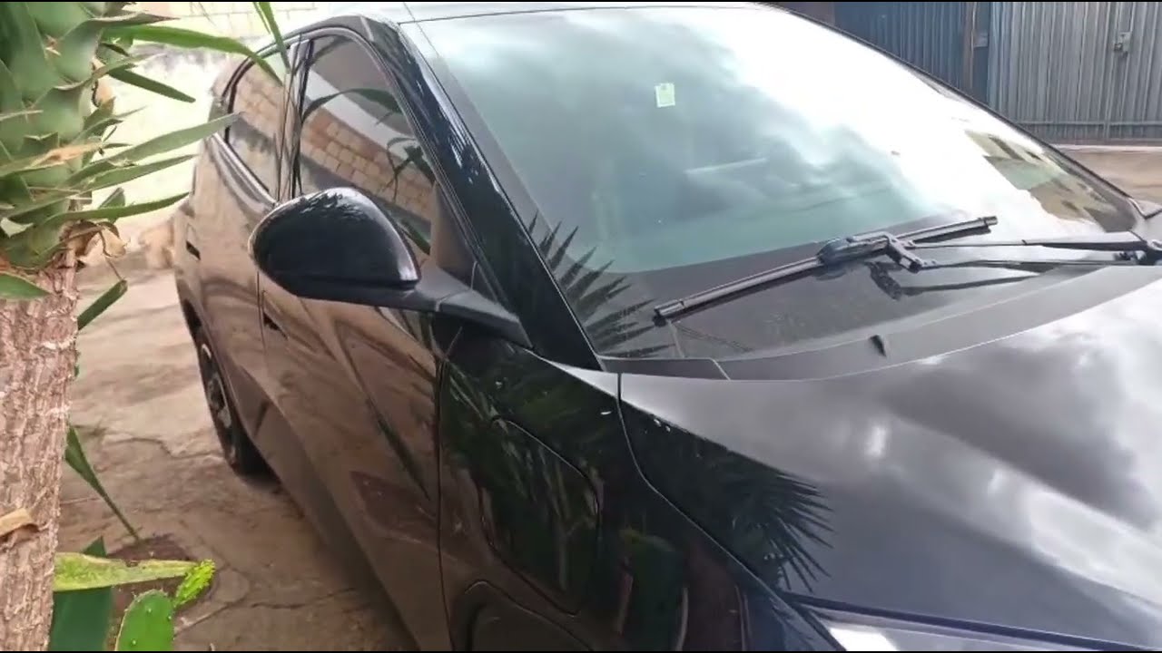 BYD Dolphin mini 160 mil km de revis&atilde;o 