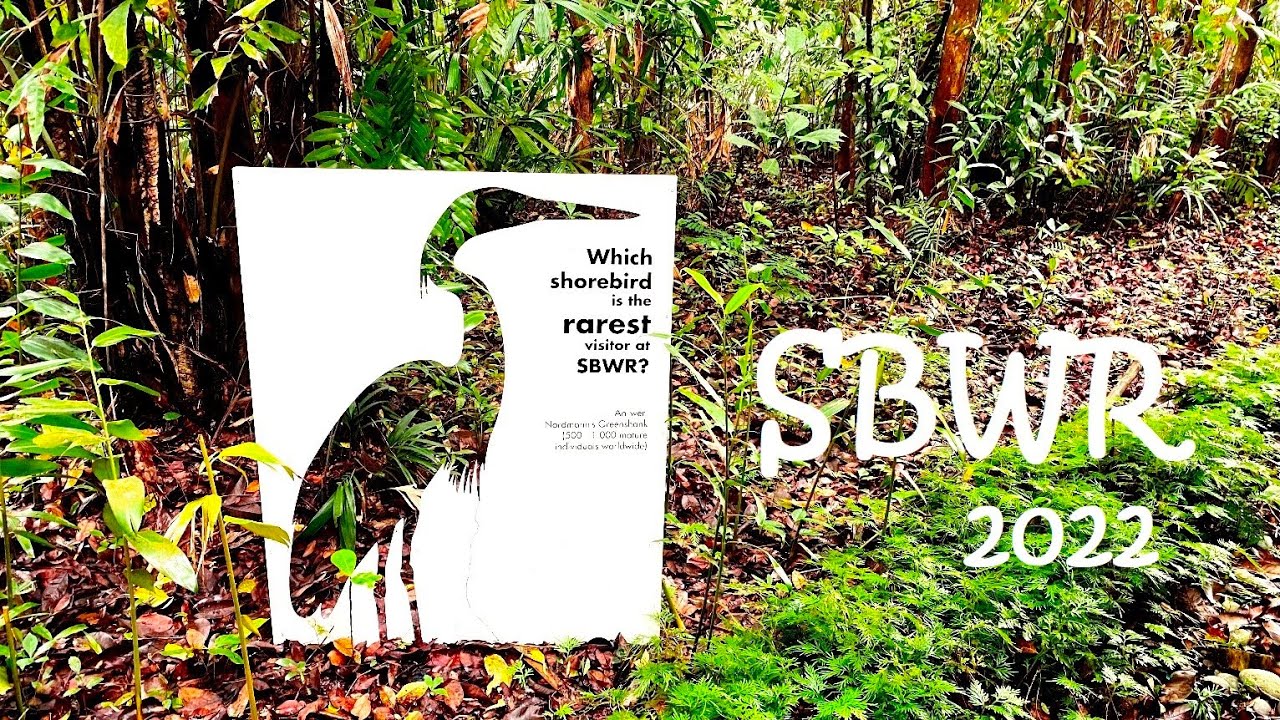 【Nature walk】2022.1008 Sungei Buloh Wetland Reserves (Re-VISIT)