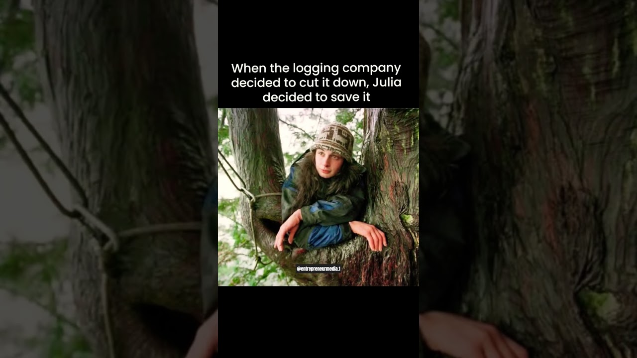 She Lived in a Tree for 738 Days! 🌳