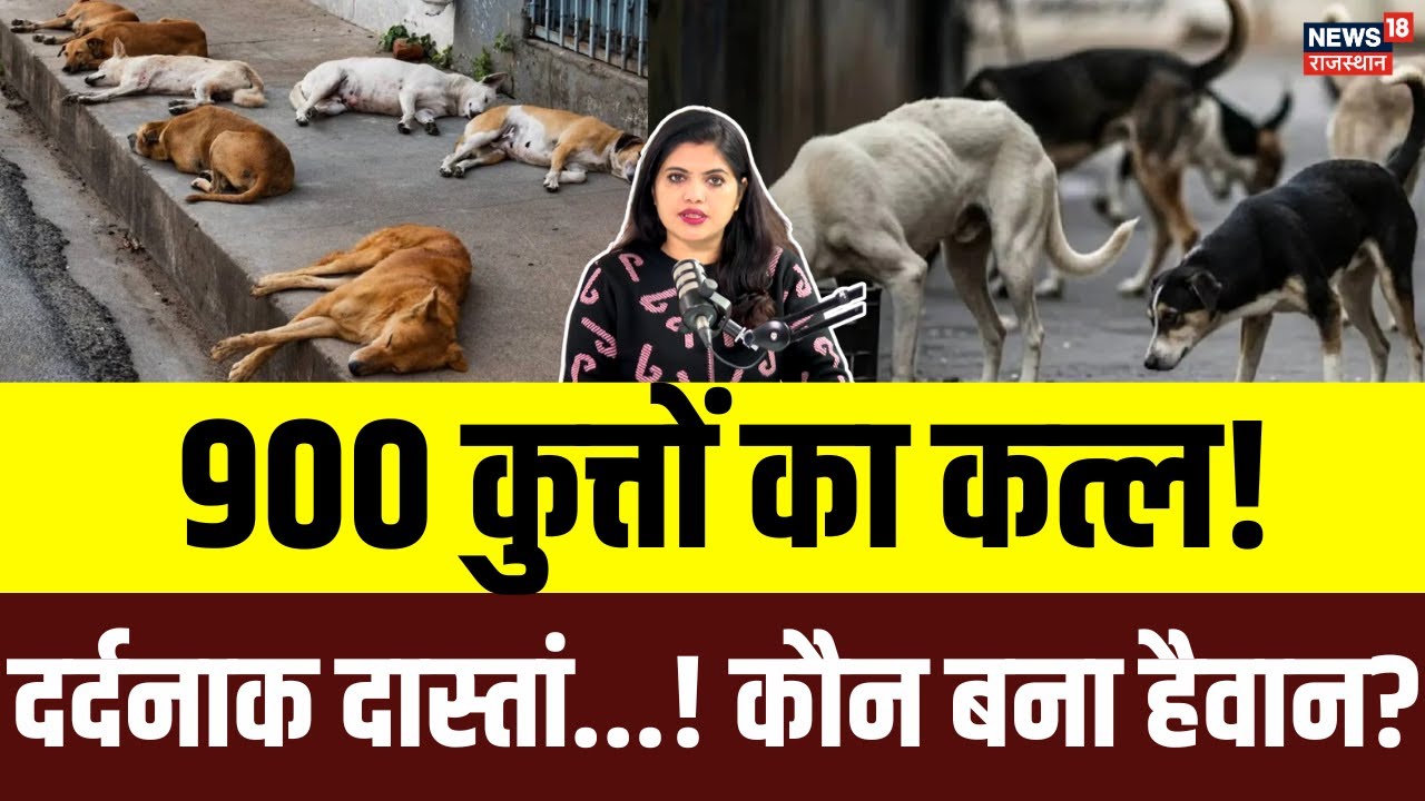 Telangana Stray Dogs Mass Killing Update: तेलंगाना में  900 आवारा कुत्तों की मौत! कौन जिम्मेदार?
