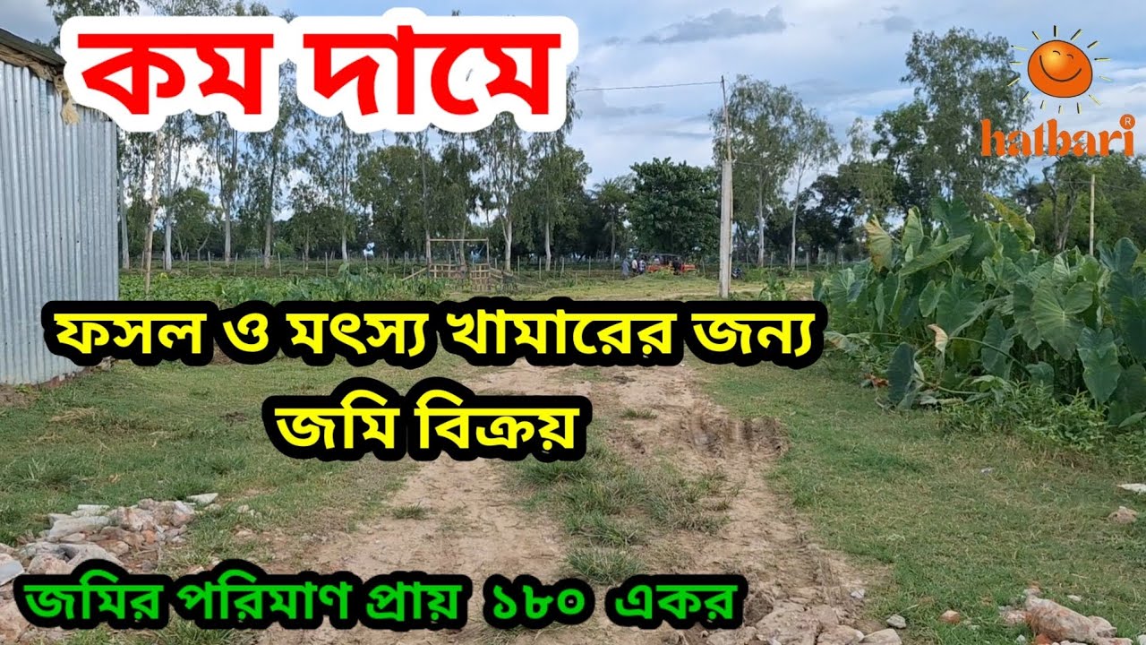 Agriculture  land sale in bangladesh | solar project | বড় আকারের প্রজেক্ট এর জন্য জমি বিক্রি হবে  